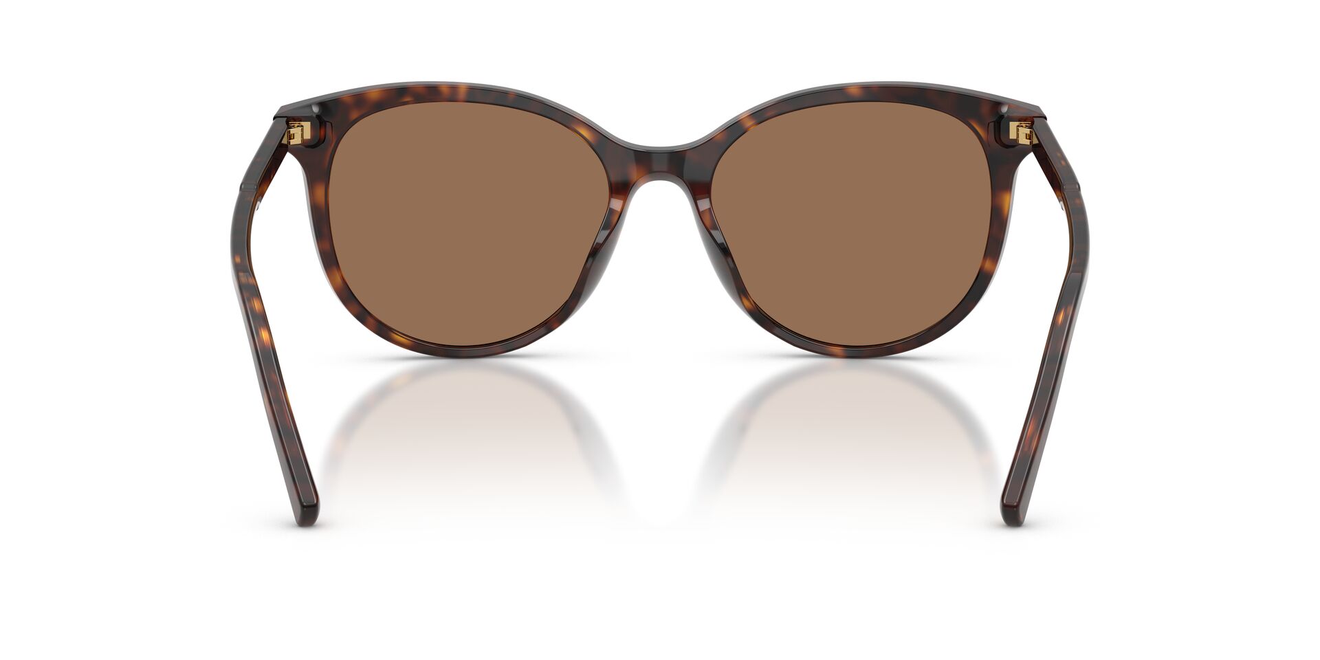 DOLCE & GABBANA DG4540 502 13 55 SUNGLASSES