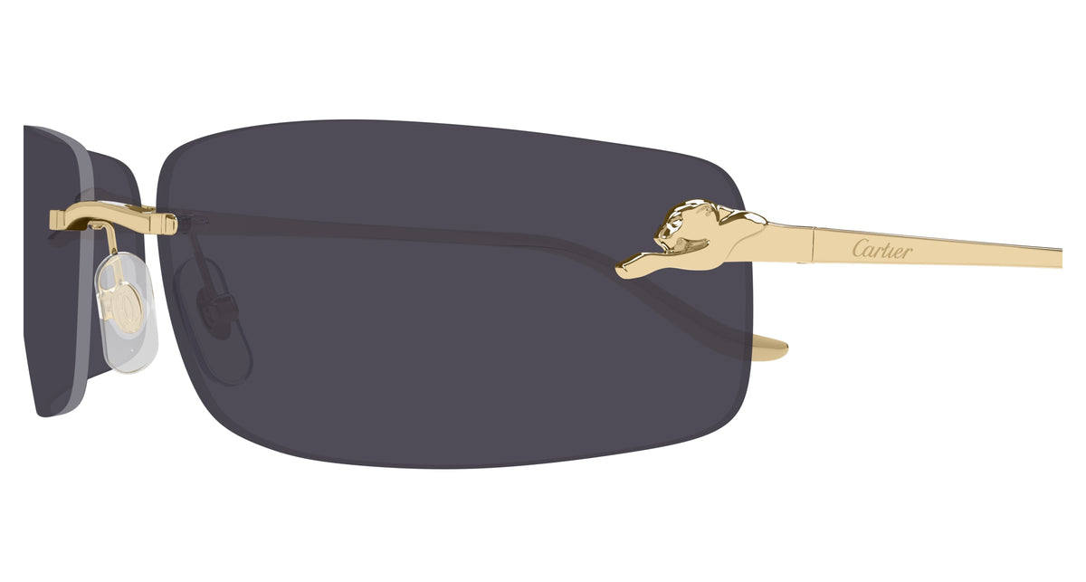 CARTIER CT0503S 001 71 SUNGLASSES