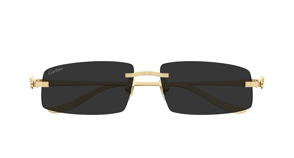 CARTIER CT0505S 001 58 SUNGLASSES