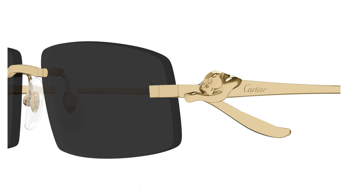 CARTIER CT0505S 001 58 SUNGLASSES