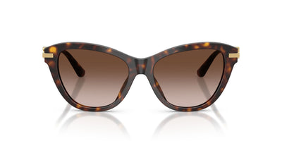 DOLCE & GABBANA DG4534 502 13 53 SUNGLASSES