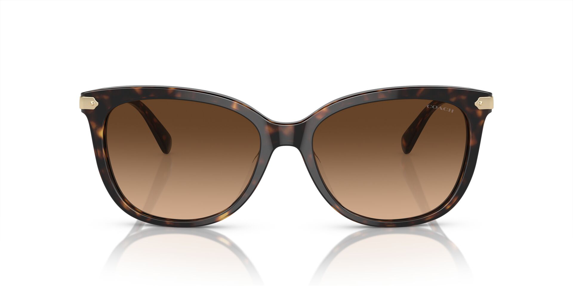 COACH HC8378U 512074 57 SUNGLASSES