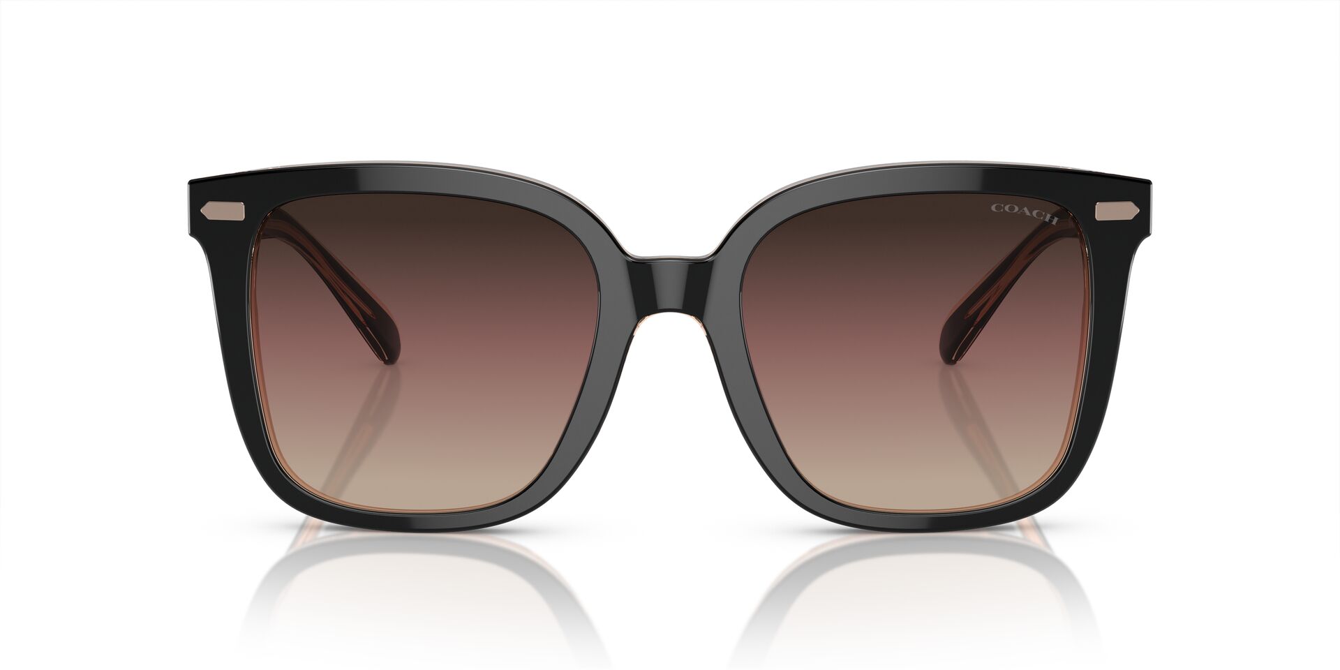 COACH HC8381U 5781E2 54 SUNGLASSES