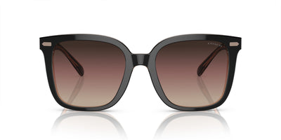 COACH HC8381U 5781E2 54 SUNGLASSES