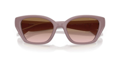 COACH HC8434U 549511 53 SUNGLASSES