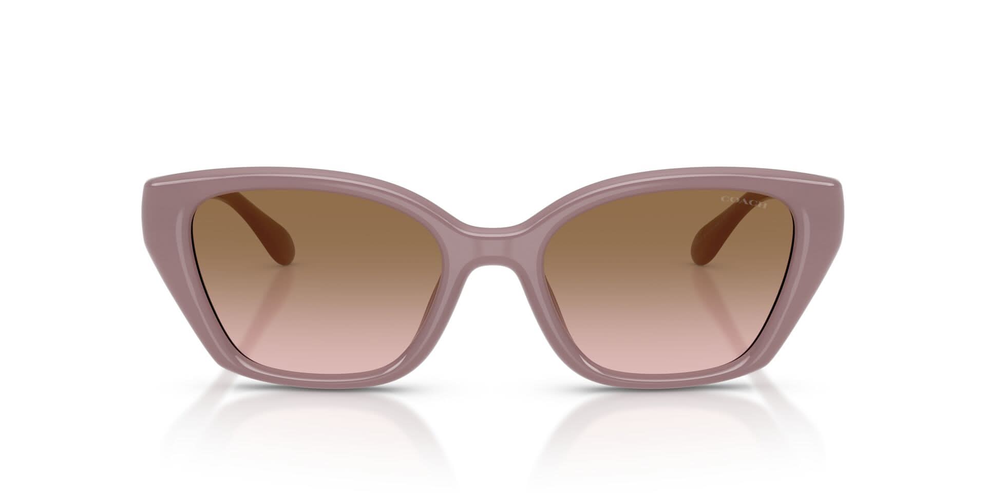 COACH HC8434U 549511 53 SUNGLASSES