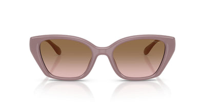 COACH HC8434U 549511 53 SUNGLASSES