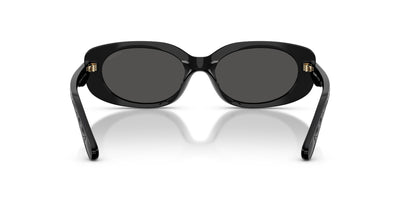 COACH HC8443D 500287 54 SUNGLASSES