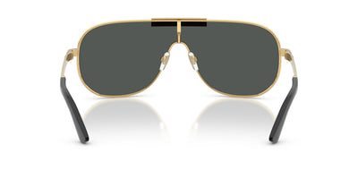VERSACE VE2293 100287 40 SUNGLASSES