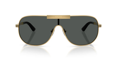 VERSACE VE2293 100287 40 SUNGLASSES
