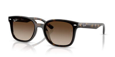 RAYBAN RB4461D 71013 64 SUNGLASSES