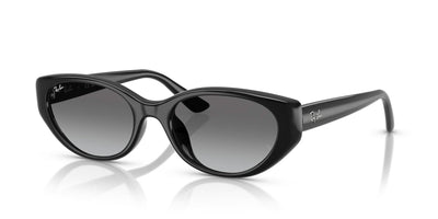 RAYBAN RB4457D 667711 55 SUNGLASSES