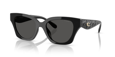 COACH HC8418U  500287 53 SUNGLASSES
