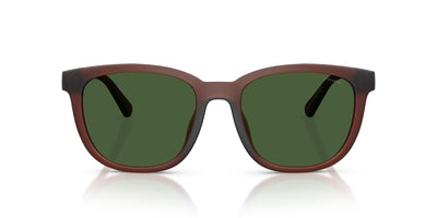 COACH HC8442U 591171 54 SUNGLASSES