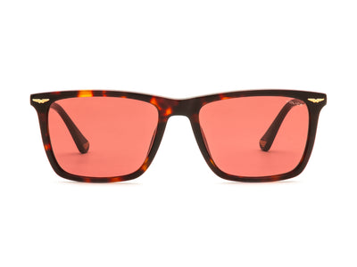 POLICE SPLV90K GATOR EVO 0745 53 SUNGLASSES