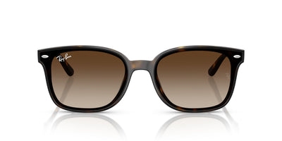 RAYBAN RB4461D 71013 64 SUNGLASSES