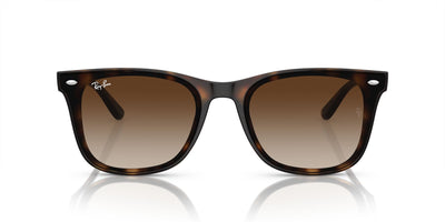 RAYBAN RB4420 71013 65 SUNGLASSES