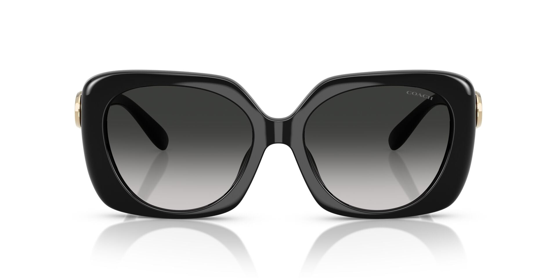 COACH HC8422U 50023C 55 SUNGLASSES