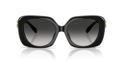 COACH HC8422U 50023C 55 SUNGLASSES