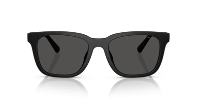 COACH HC8426U CAD81 500287 54 SUNGLASSES