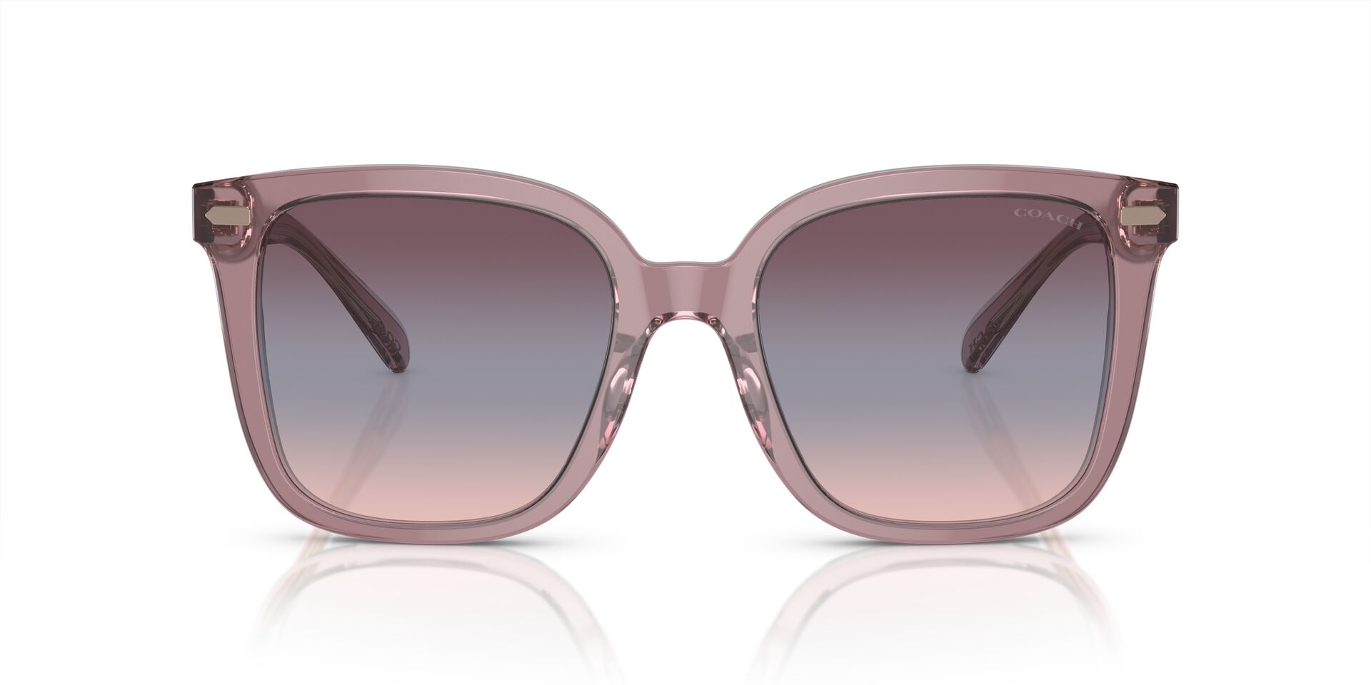 COACH HC8381U 57820J 54 SUNGLASSES