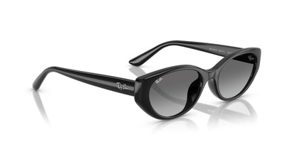 RAYBAN RB4457D 667711 55 SUNGLASSES