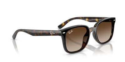 RAYBAN RB4461D 71013 64 SUNGLASSES