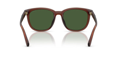 COACH HC8442U 591171 54 SUNGLASSES