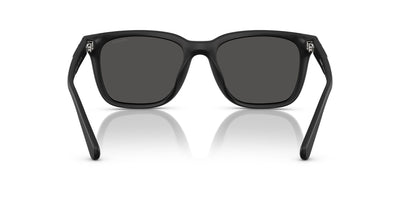 COACH HC8426U CAD81 500287 54 SUNGLASSES