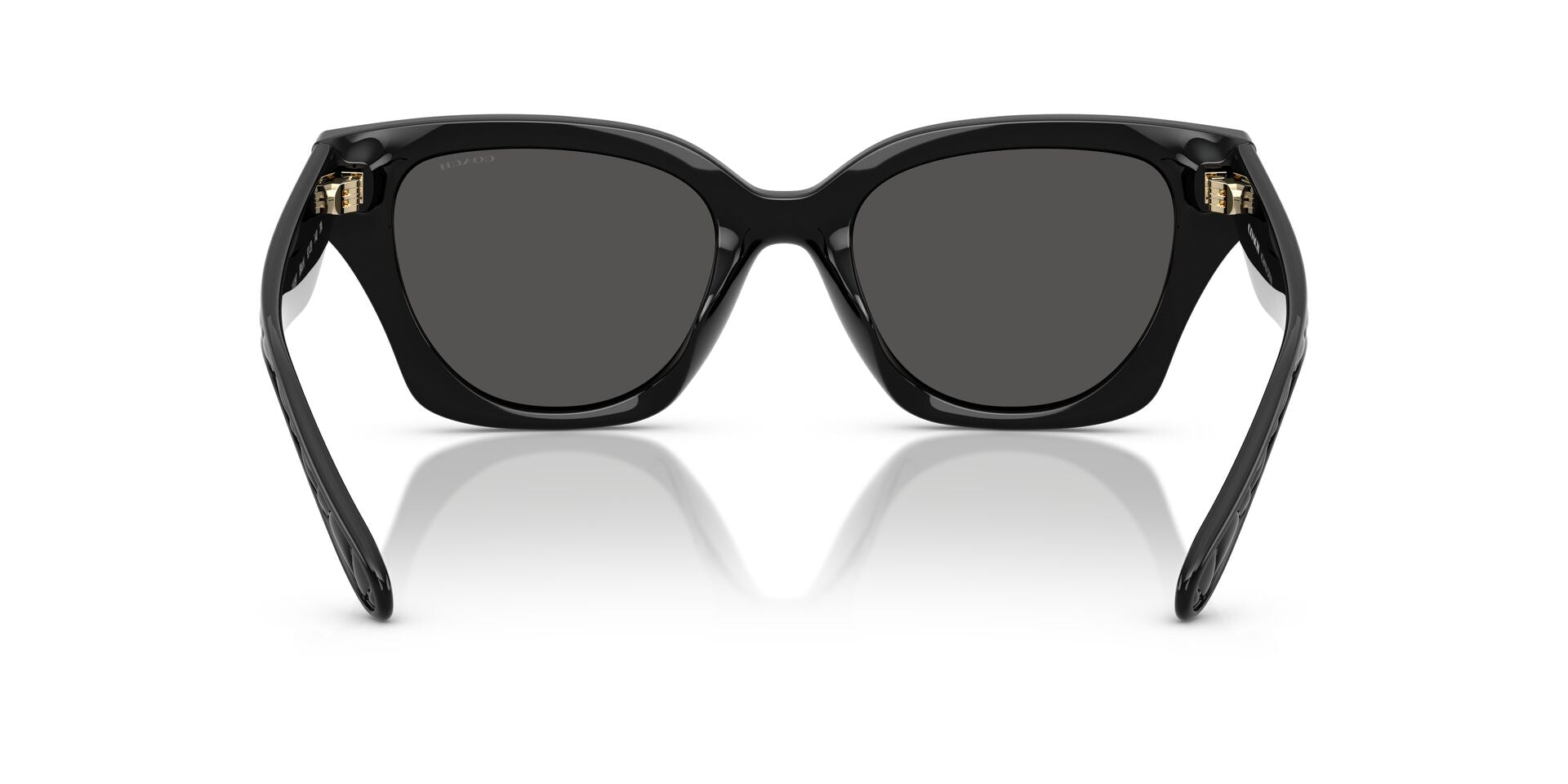 COACH HC8418U  500287 53 SUNGLASSES