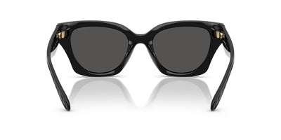 COACH HC8418U  500287 53 SUNGLASSES