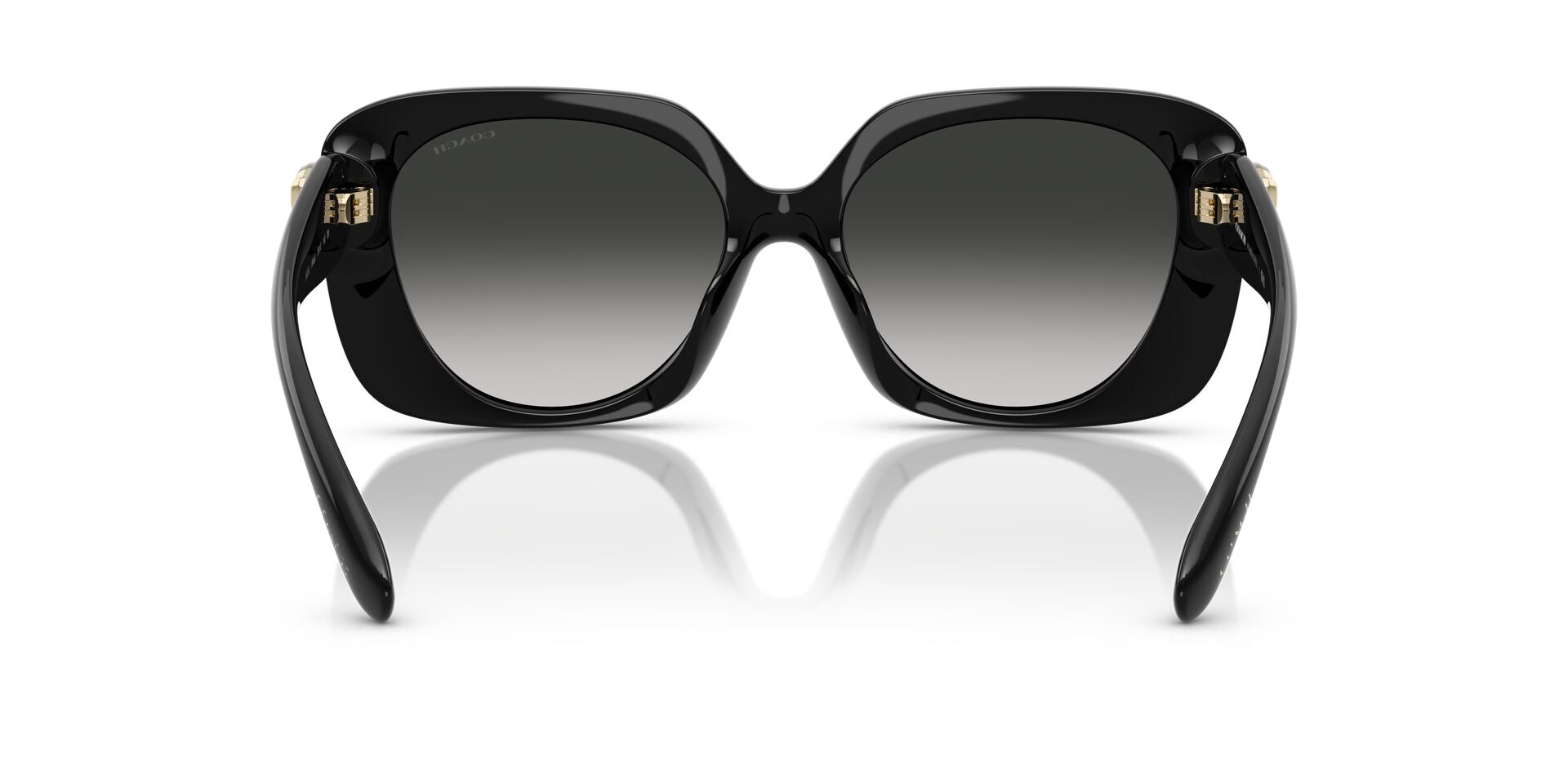 COACH HC8422U 50023C 55 SUNGLASSES