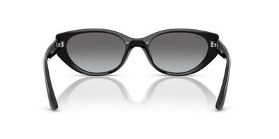 RAYBAN RB4457D 667711 55 SUNGLASSES