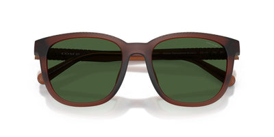 COACH HC8442U 591171 54 SUNGLASSES
