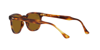 RAYBAN RB2298 HAWKEYE 954 33 52 SUNGLASSES