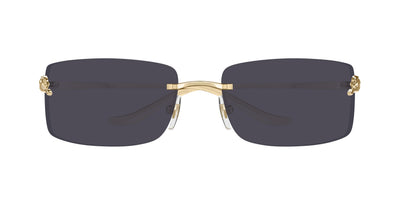 CARTIER CT0503S 001 71 SUNGLASSES