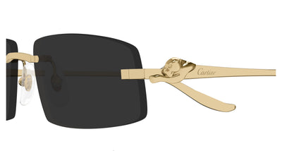 CARTIER CT0505S 001 58 SUNGLASSES